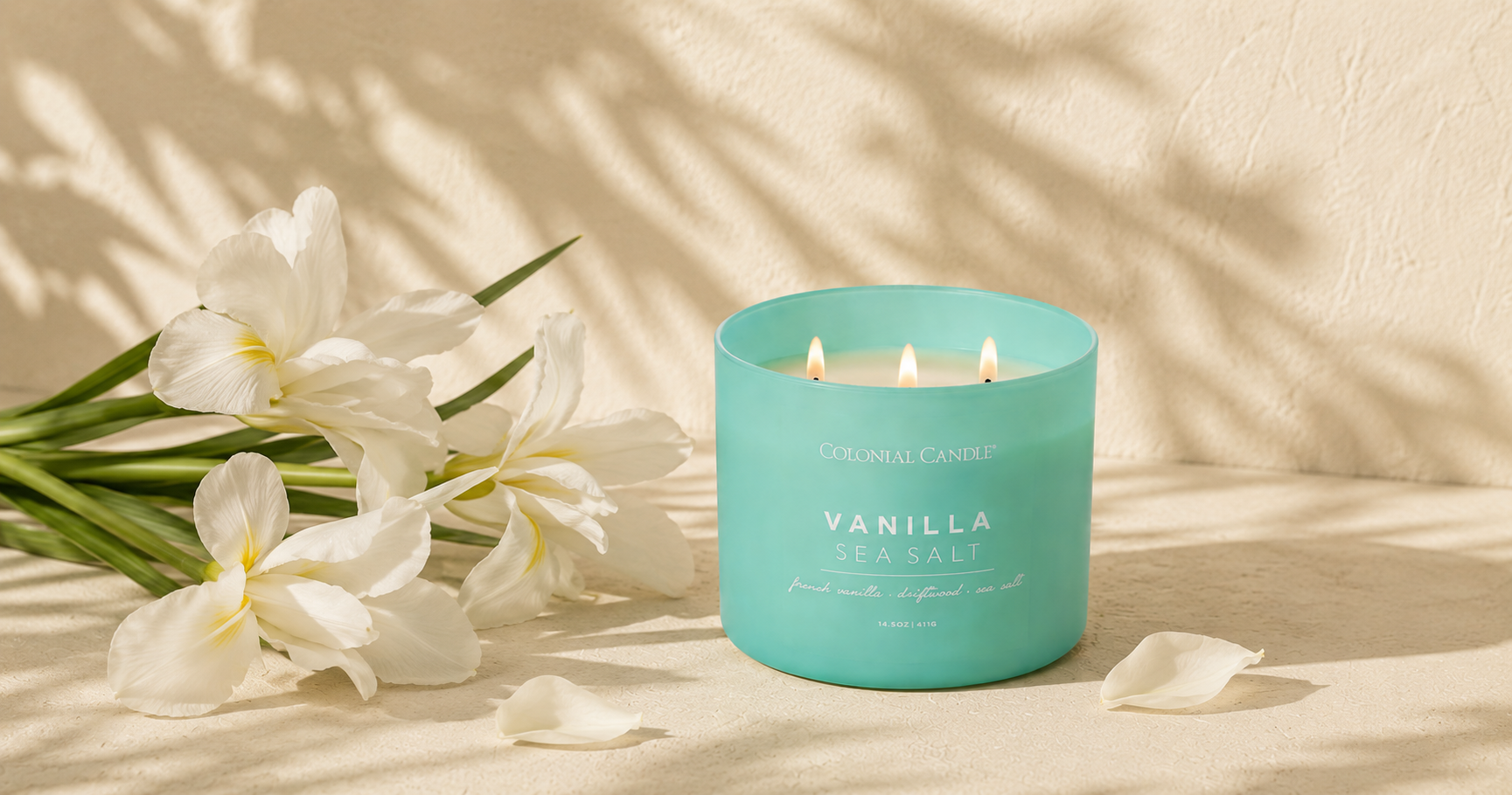 Ocean Vanilla